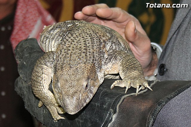 Mercadillo Medieval - Totana 2013 - 81