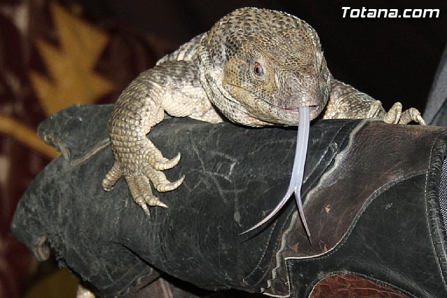 Mercadillo Medieval - Totana 2013 - 84