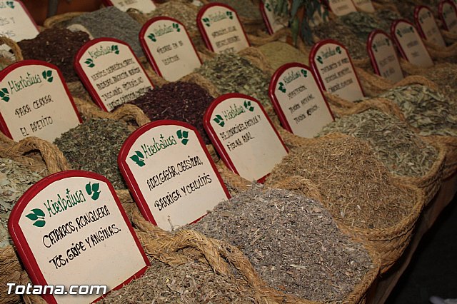 Mercado medieval - Fiestas de Santa Eulalia 2015 - 157