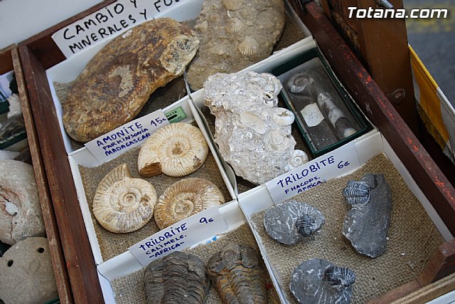 Mercadillo Medieval - Fiestas de Santa Eulalia - Totana 2011 - 67