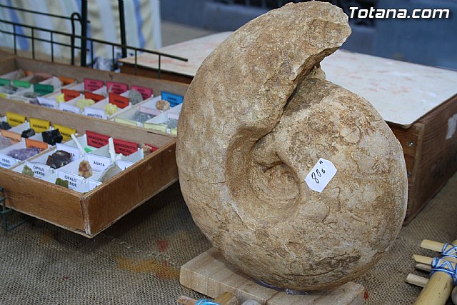 Mercadillo Medieval - Fiestas de Santa Eulalia - Totana 2011 - 70