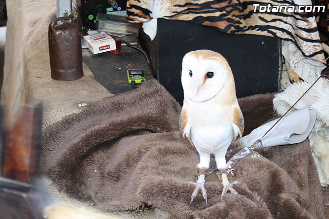 Mercadillo Medieval - Fiestas de Santa Eulalia - Totana 2011 - 90