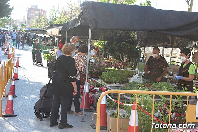 Se retoma el Mercadillo Semanal - 7