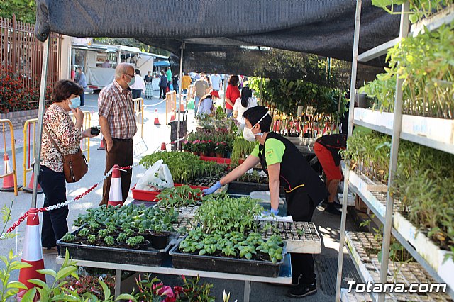 Se retoma el Mercadillo Semanal - 10