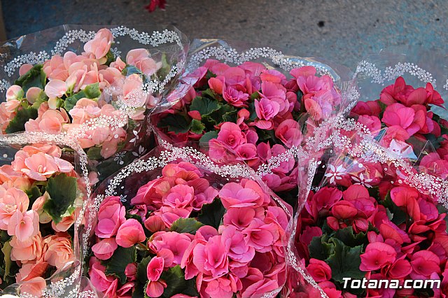 Se retoma el Mercadillo Semanal - 11