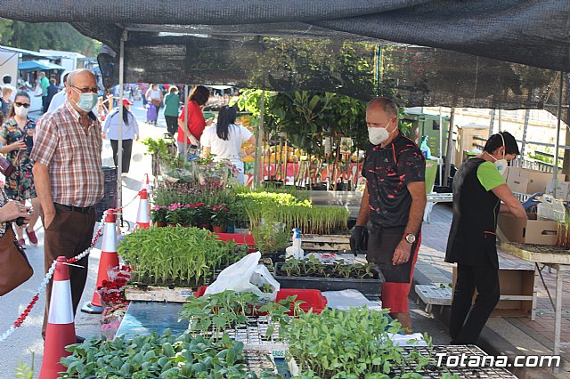 Se retoma el Mercadillo Semanal - 12