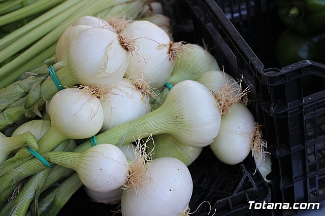 Se retoma el Mercadillo Semanal - 55