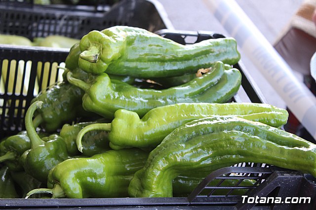 Se retoma el Mercadillo Semanal - 64