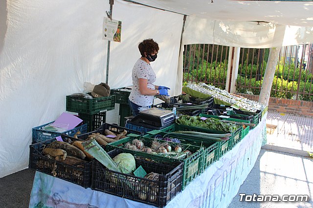 Se retoma el Mercadillo Semanal - 108