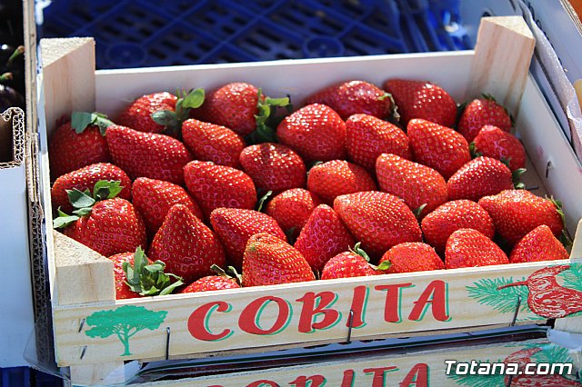 Se retoma el Mercadillo Semanal - 120