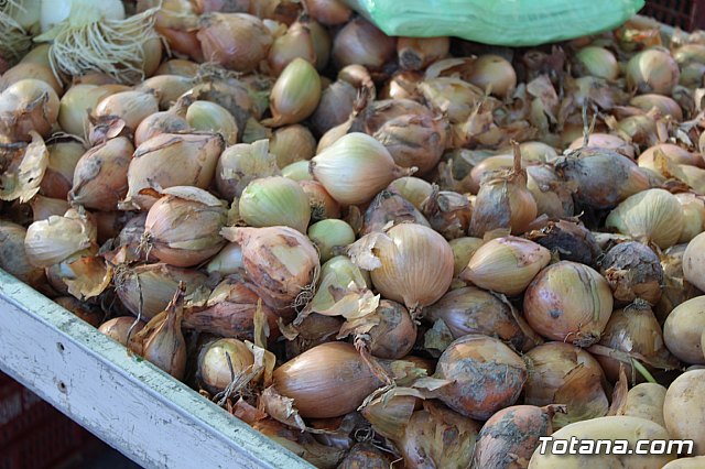 Se retoma el Mercadillo Semanal - 124