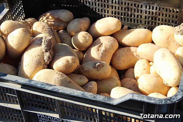 Se retoma el Mercadillo Semanal - 131