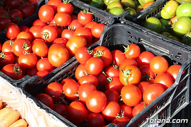 Se retoma el Mercadillo Semanal - 132