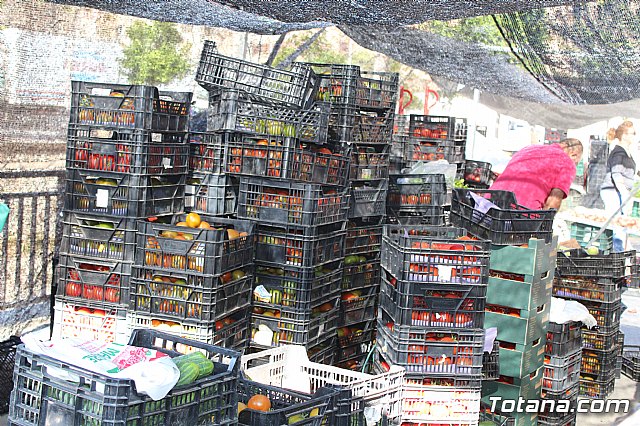 Se retoma el Mercadillo Semanal - 155