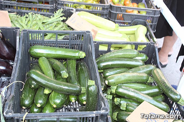 Se retoma el Mercadillo Semanal - 156