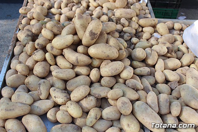 Se retoma el Mercadillo Semanal - 159