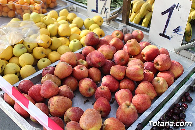 Se retoma el Mercadillo Semanal - 166