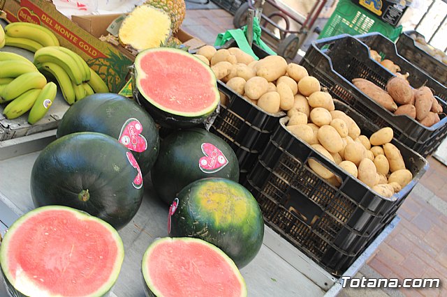 Se retoma el Mercadillo Semanal - 172