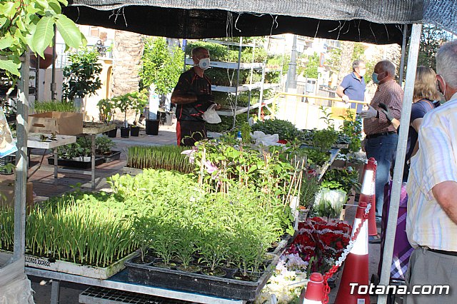 Se retoma el Mercadillo Semanal - 179