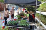 mercadillo