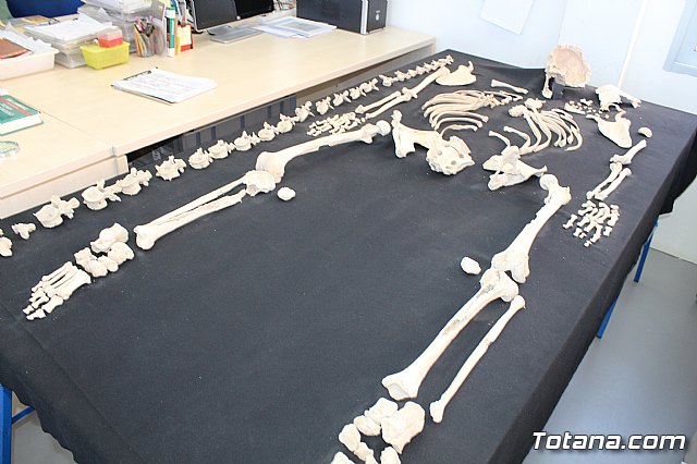 El Ministro de Cultura visita La Bastida - 177