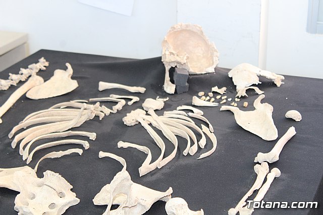 El Ministro de Cultura visita La Bastida - 178