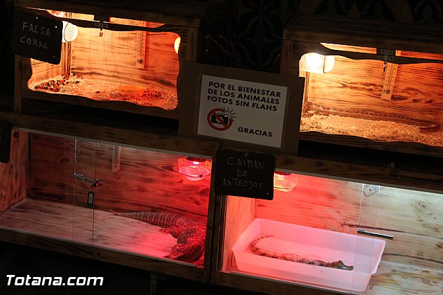 Mercado Medieval - Febrero 2015 - 89