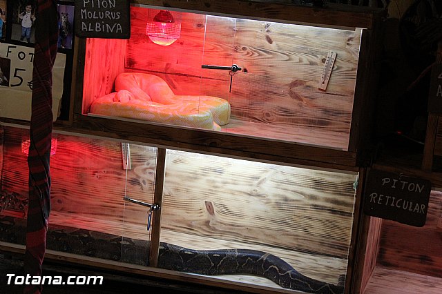 Mercado Medieval - Febrero 2015 - 90