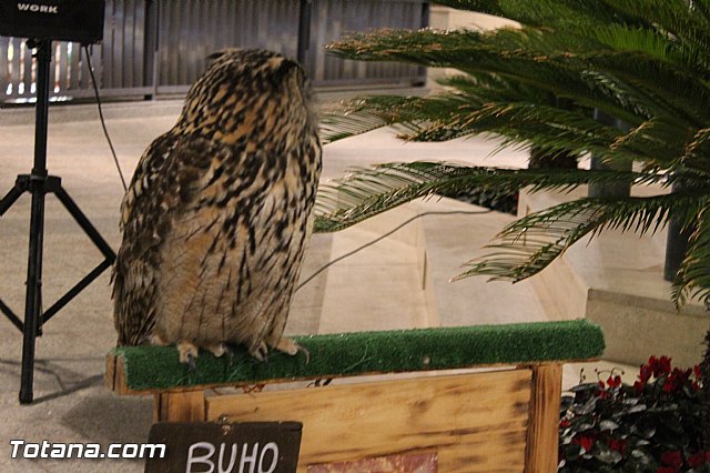 Mercado Medieval - Febrero 2015 - 91