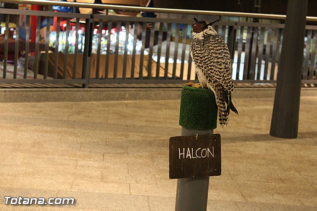 Mercado Medieval - Febrero 2015 - 92