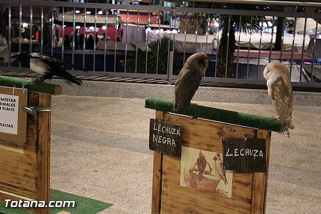 Mercado Medieval - Febrero 2015 - 93