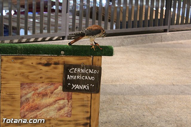 Mercado Medieval - Febrero 2015 - 94
