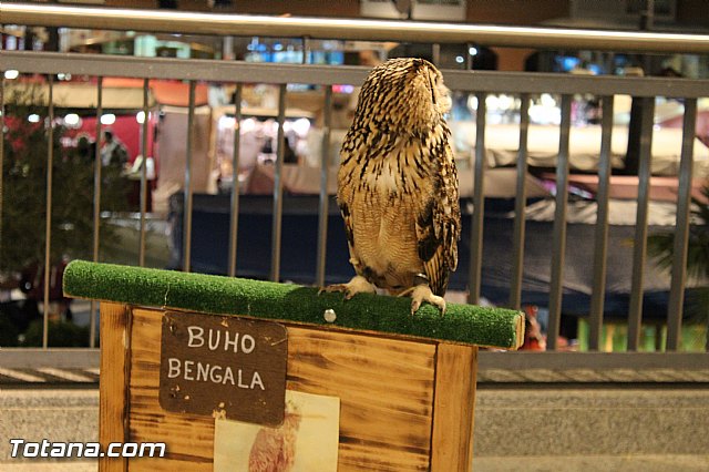 Mercado Medieval - Febrero 2015 - 95