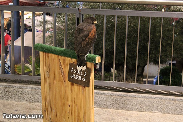 Mercado Medieval - Febrero 2015 - 96