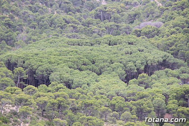 Mobel Sierra Espua 2019 - 5