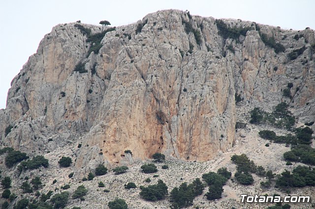 Mobel Sierra Espua 2019 - 211