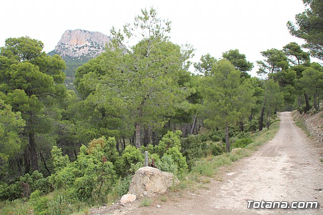 Mobel Sierra Espua 2019 - 212