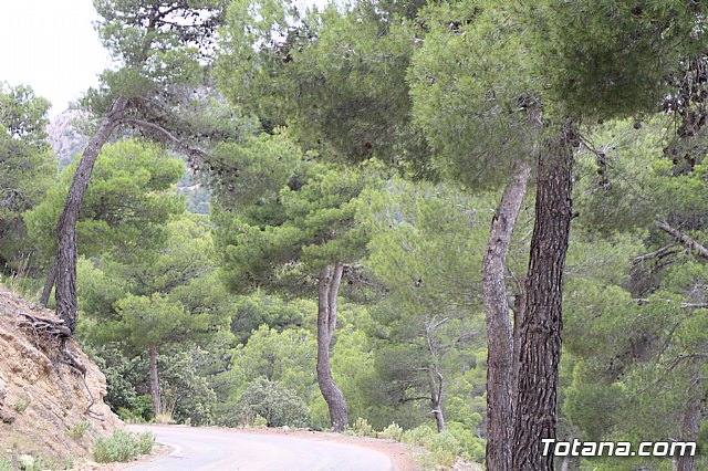 Mobel Sierra Espua 2019 - 245