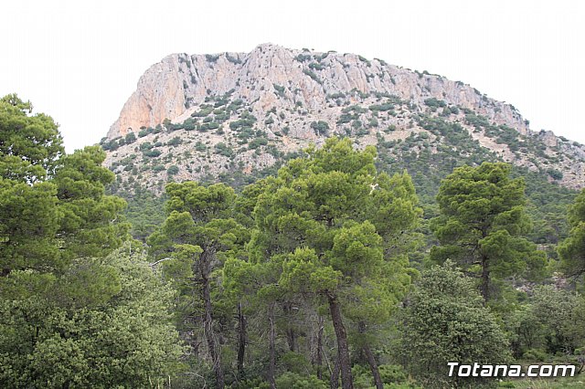 Mobel Sierra Espua 2019 - 258