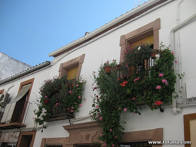 Viaje a Montoro (Crdoba) y Alcal la Real (Jan) - 46