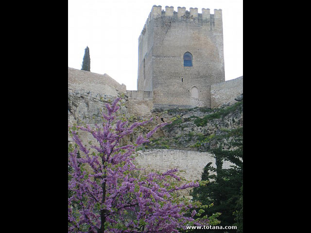 Viaje a Montoro (Crdoba) y Alcal la Real (Jan) - 211