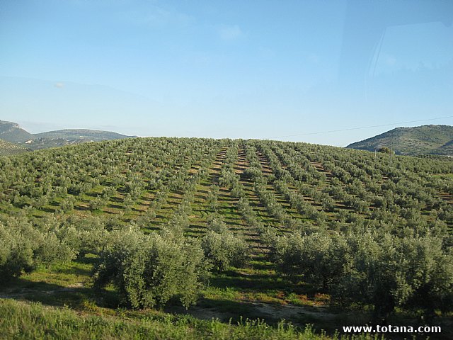 Viaje a Montoro (Crdoba) y Alcal la Real (Jan) - 214