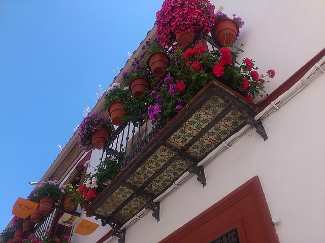 Viaje a Montoro (Crdoba) y Alcal la Real (Jan) - 277