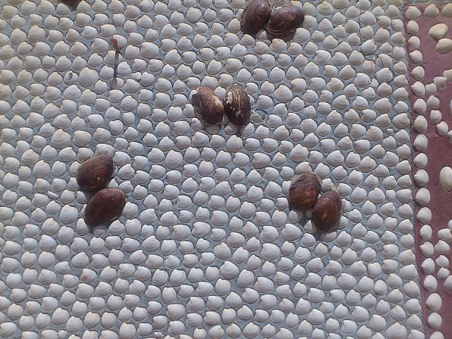 Viaje a Montoro (Crdoba) y Alcal la Real (Jan) - 287