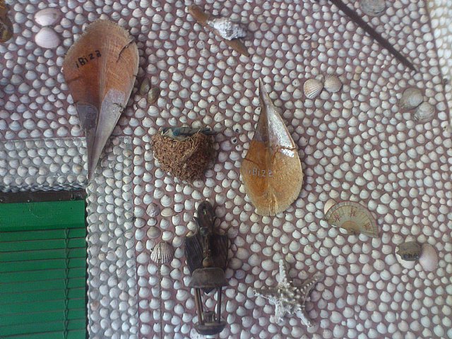 Viaje a Montoro (Crdoba) y Alcal la Real (Jan) - 291