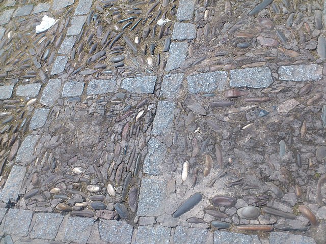 Viaje a Montoro (Crdoba) y Alcal la Real (Jan) - 305