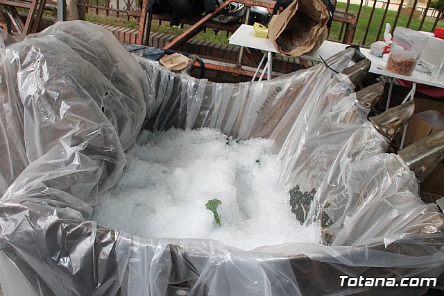 13+1 moto-almuerzo Ciudad de Totana 2018 - Rfagas Moto Club Totana - 163