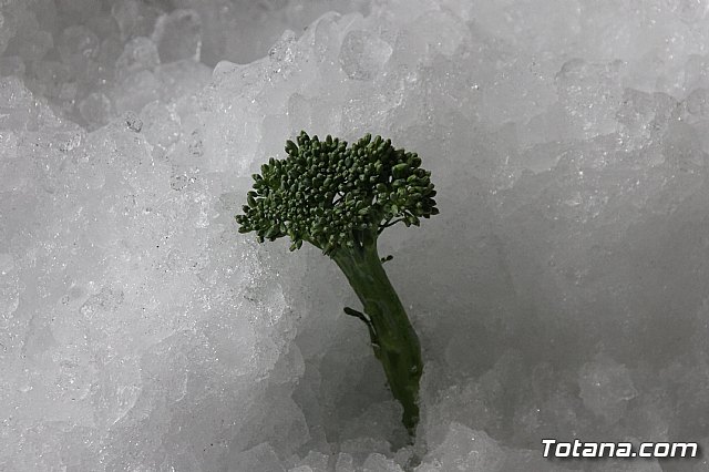 13+1 moto-almuerzo Ciudad de Totana 2018 - Rfagas Moto Club Totana - 164