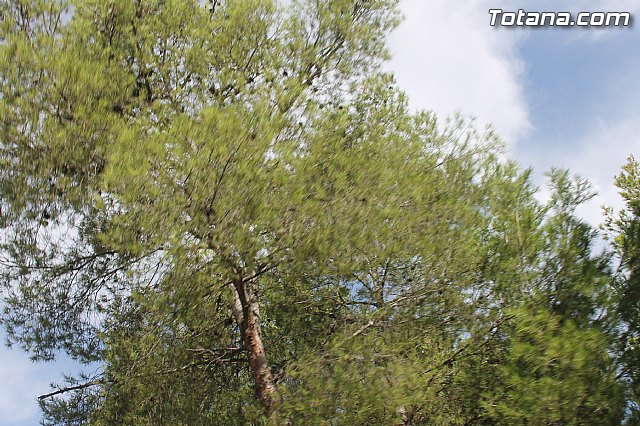 I concentracin de motos clsicas - Totana 2013 - 182