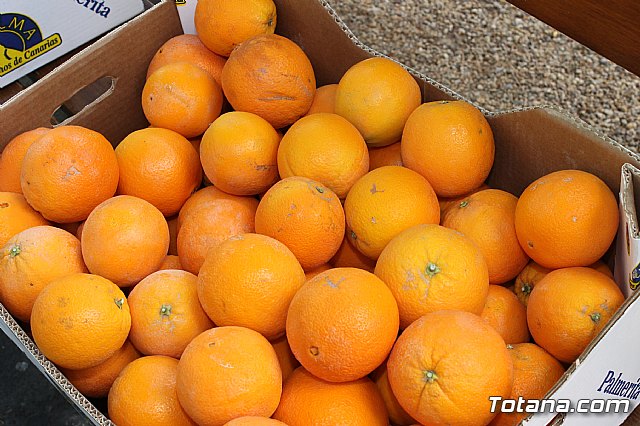 XVIII Ruta Mototurstica 2013 